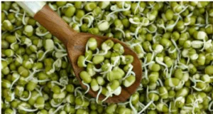 sprouts