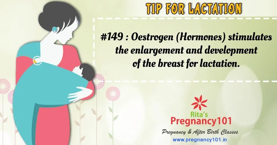 Oestrogen hormones stimulates the enlargement and development of the breast for lactation
