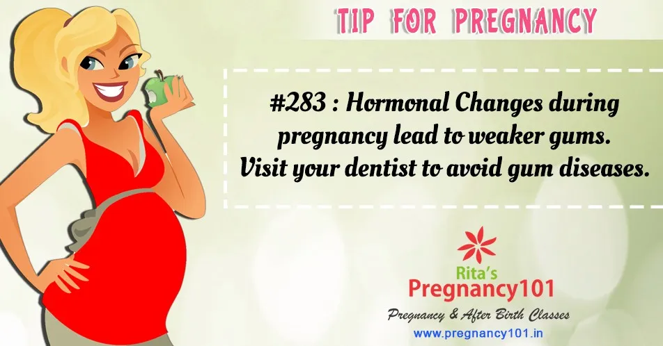 Hormonal changes during pregnancy lead to weaker gums