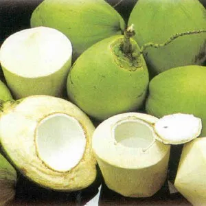 Coconut water, Amrit in pregnancy