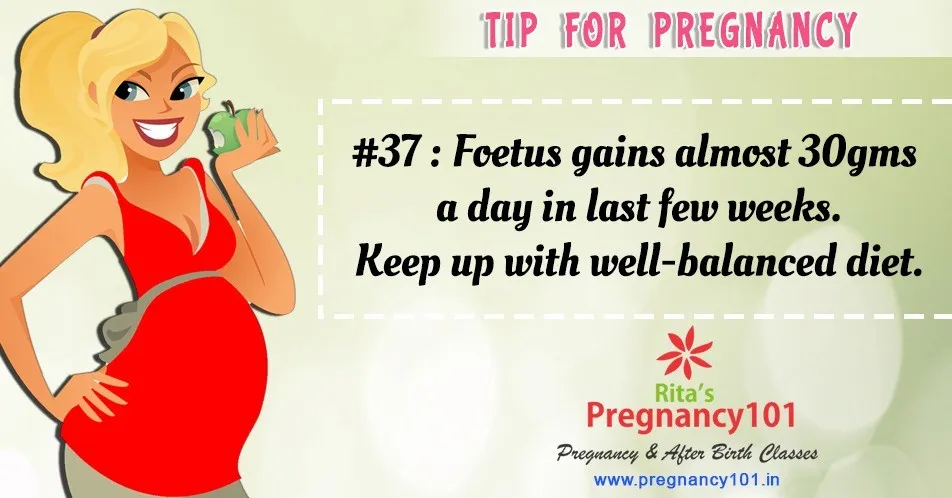 Foetus gains almost 30gms a day in last few weeks
