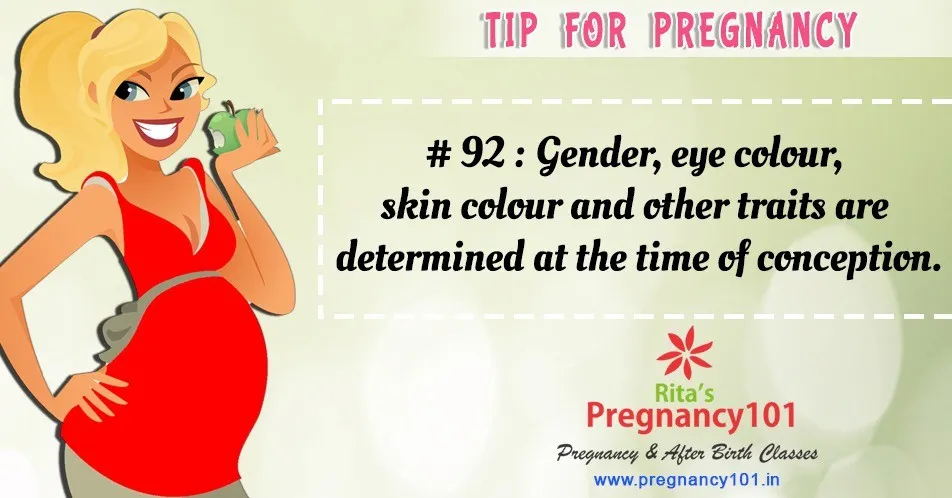 Gender eye colour skin colour and other traits are determined at the time of conception