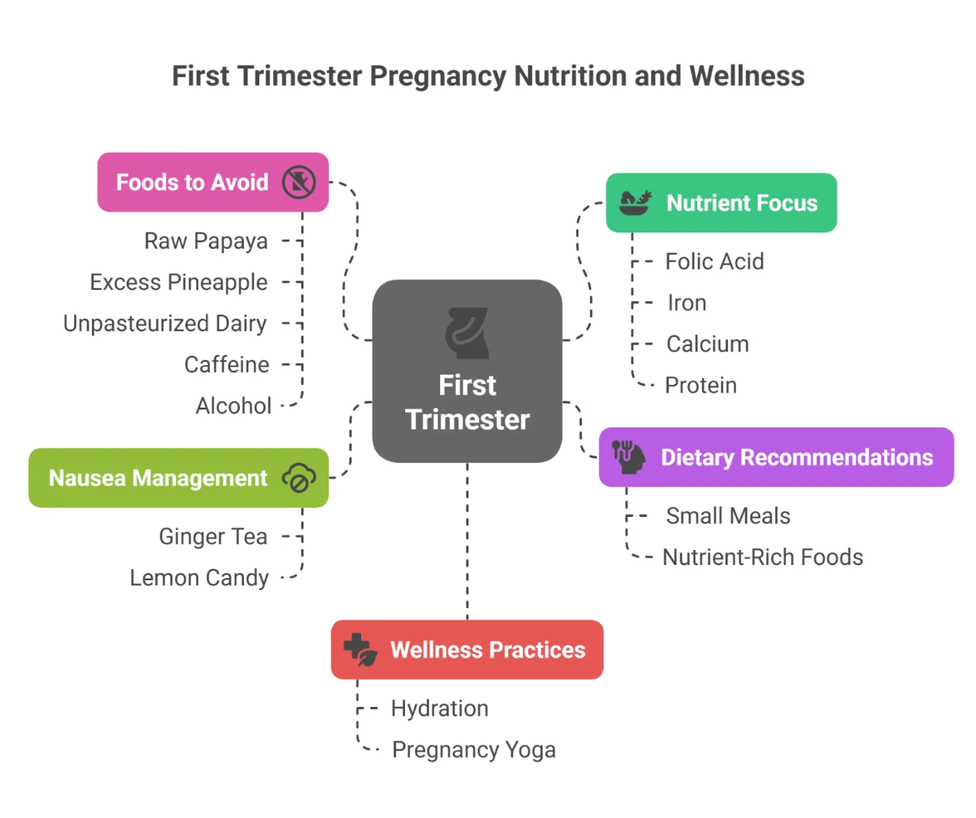 First trimester (weeks 1–12)