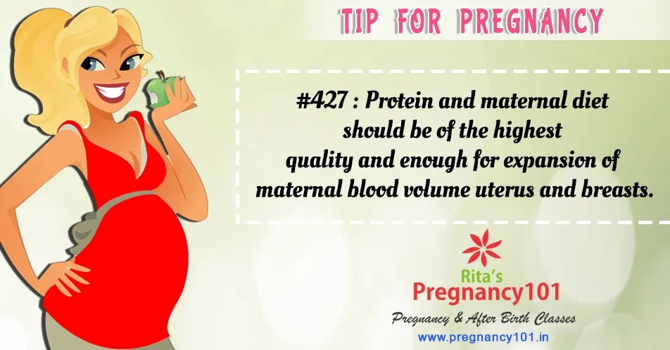 Protein and maternal diet should be of the highest quality