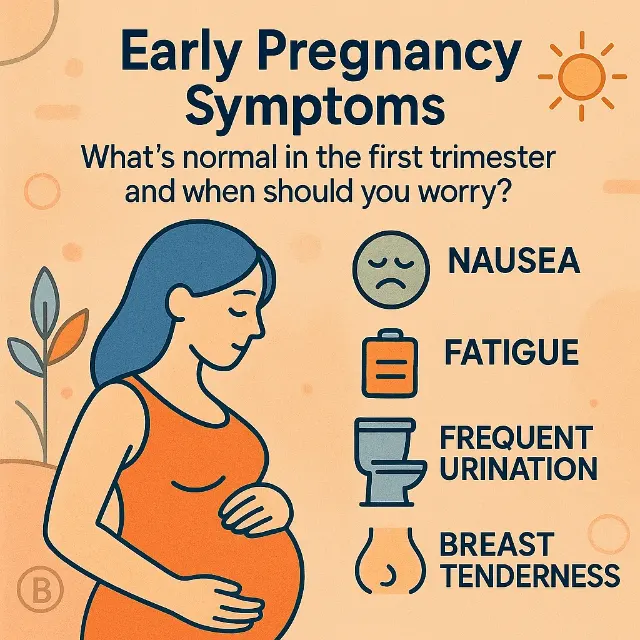 Early Pregnancy Symptoms: What’s Normal in the First Trimester and When Should you Worry?